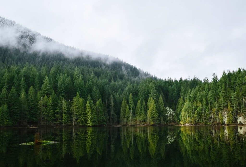 A small mountain lake in the North Vancouver mountains. The lake is lined by evergreen trees and misty clouds are rolling over the mountain in the background